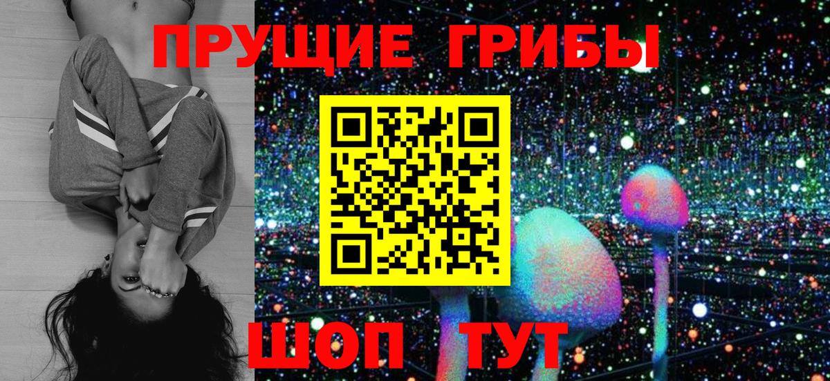 Псилоцибиновые грибы Psilocybine cubensis Тосно